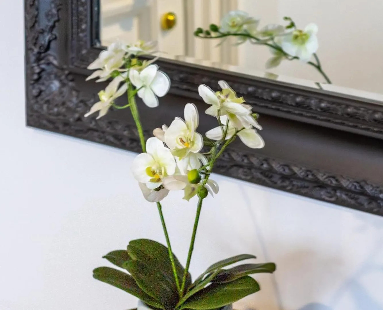 Cathedral Square Apartment 2 Bed Christchurch 0*,